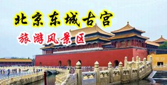 舔阴爆肏高潮视频在线观看中国北京-东城古宫旅游风景区
